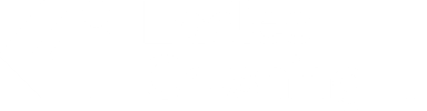 Ladies Crushing IT Logo